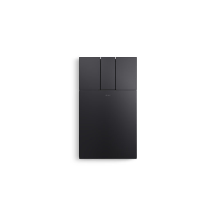 Honed Black Elongated Free Standing Dual Flush Smart Toilet