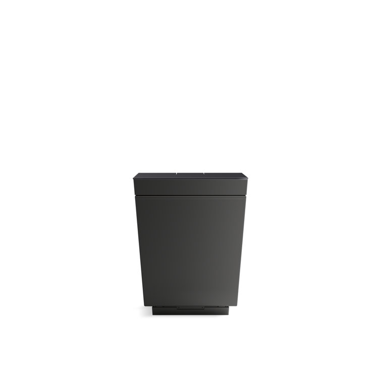 Honed Black Elongated Free Standing Dual Flush Smart Toilet