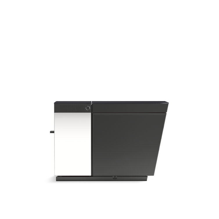Honed Black Elongated Free Standing Dual Flush Smart Toilet