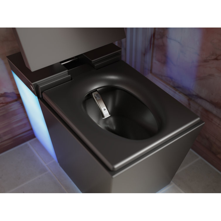 Honed Black Elongated Free Standing Dual Flush Smart Toilet