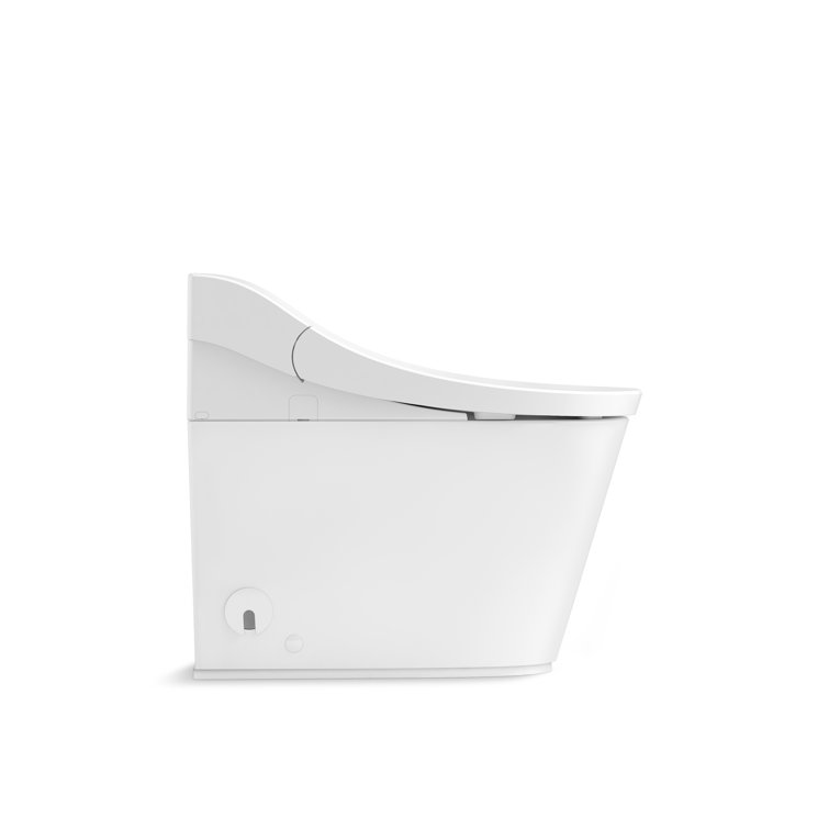 White Elongated One-Piece Smart Toilet with Dual Flush