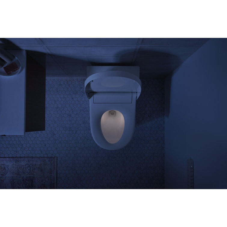 White Elongated One-Piece Smart Toilet with Dual Flush