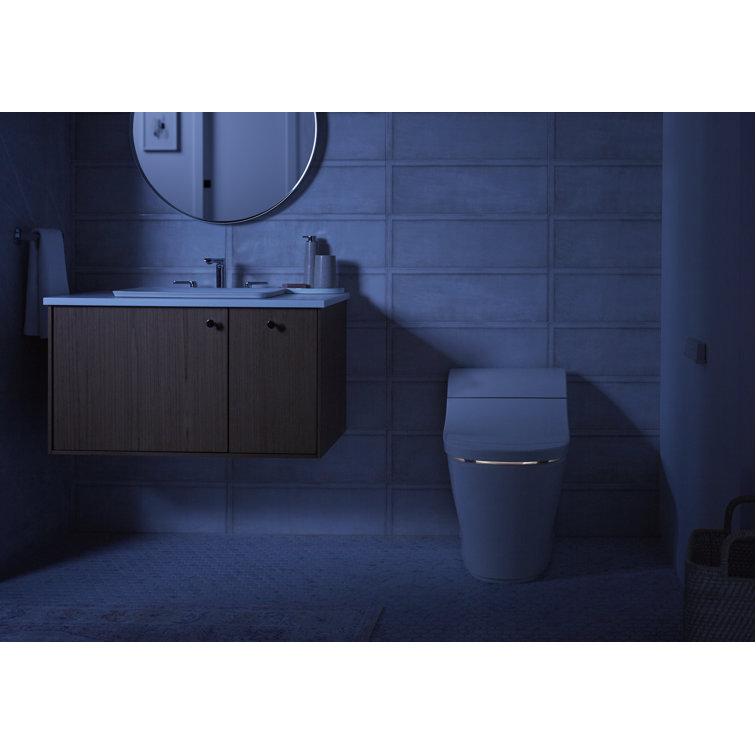 White Elongated One-Piece Smart Toilet with Dual Flush