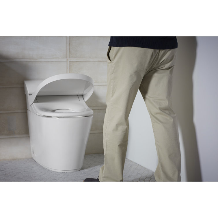 White Elongated One-Piece Smart Toilet with Dual Flush