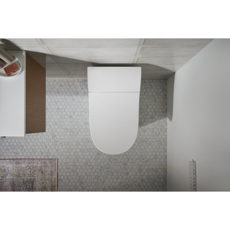 White Elongated One-Piece Smart Toilet with Dual Flush