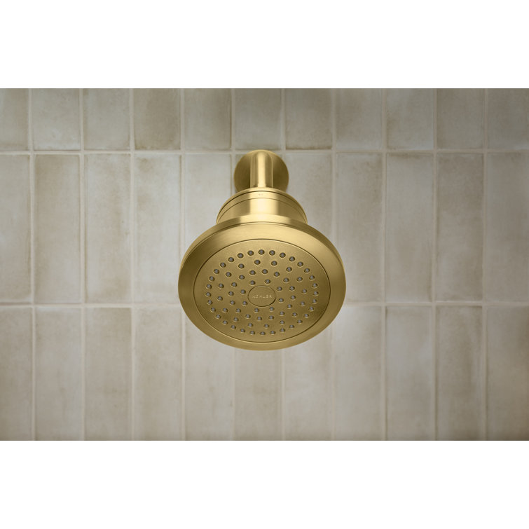 Polished Chrome Single-Function Filtered Wall Mounted Showerhead
