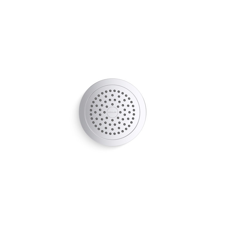 Polished Chrome Wall Mounted Rain Showerhead with Filter