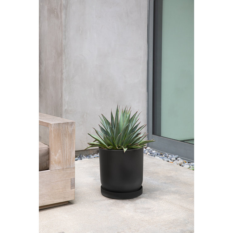Black 10'' Plastic-Concrete Round Plant Saucer