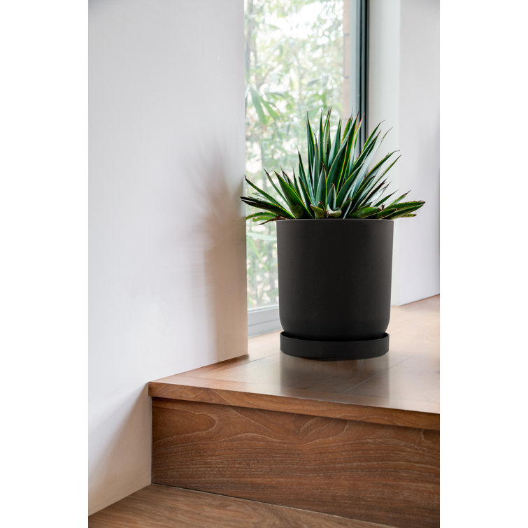 Black 10'' Plastic-Concrete Round Plant Saucer
