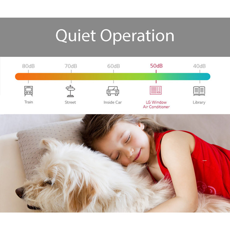 LG 23,000 BTU White Window Air Conditioner with Heat and Remote
