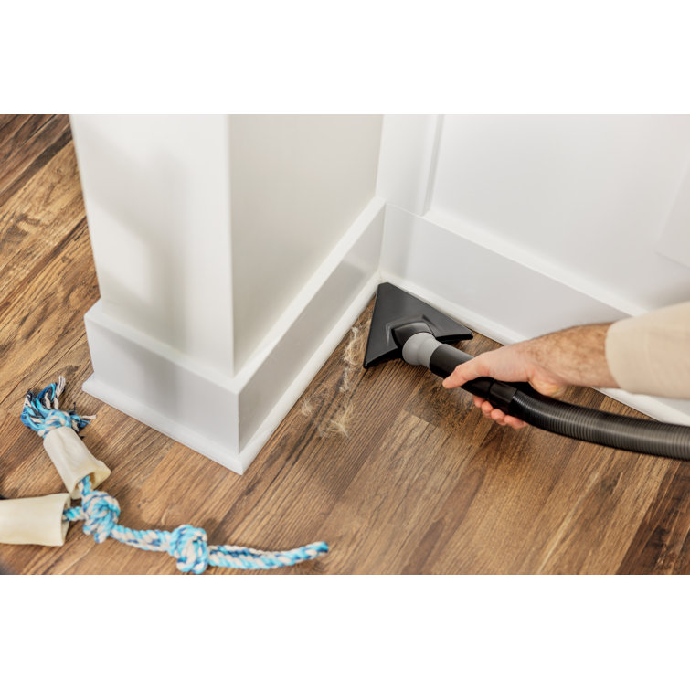 Compact Black and Purple Bagless Upright Vacuum Cleaner for Pets