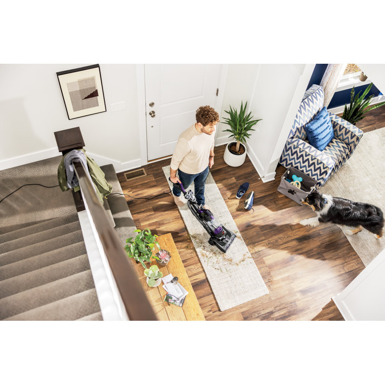 Compact Black and Purple Bagless Upright Vacuum Cleaner for Pets