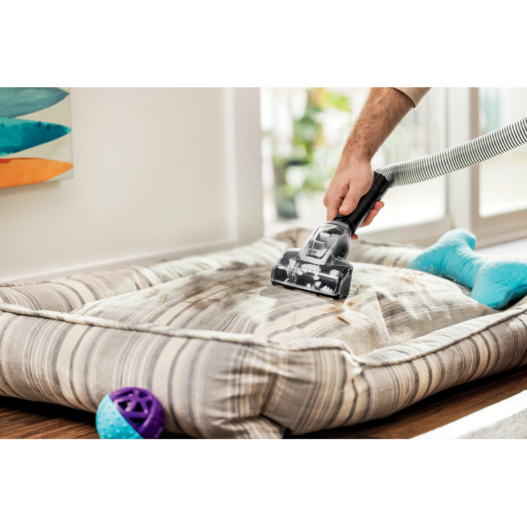 Compact Black and Purple Bagless Upright Vacuum Cleaner for Pets