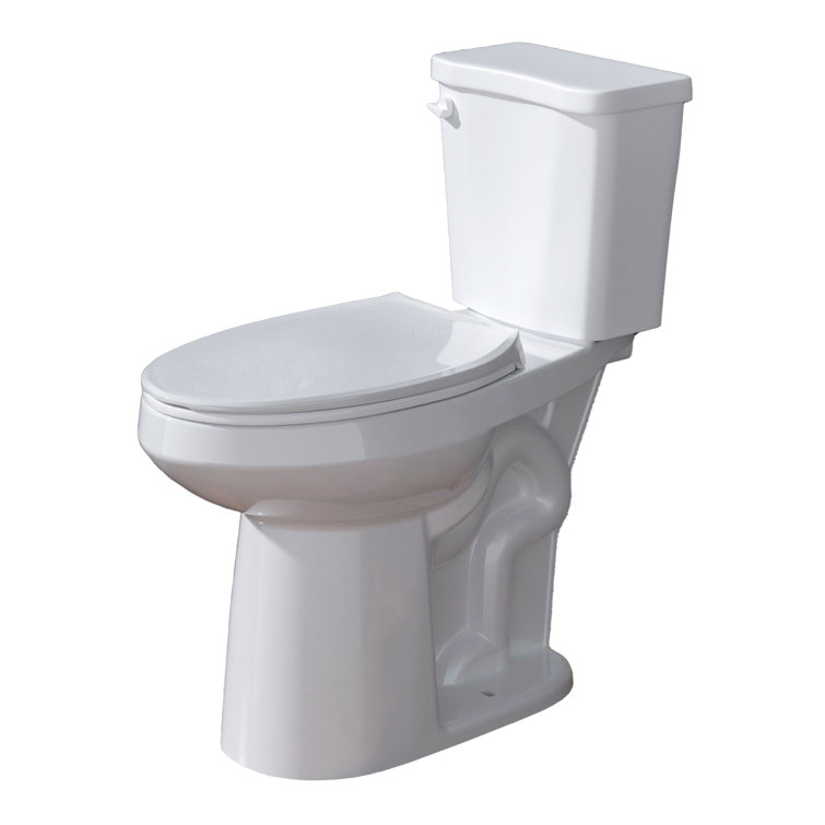 Aguamaph 20 in. White Elongated Two-Piece Toilet with Seat