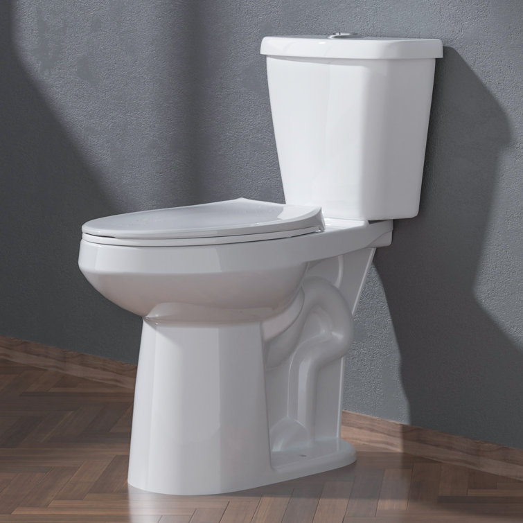 19 in. White Vitreous China Dual Flush Elongated Toilet