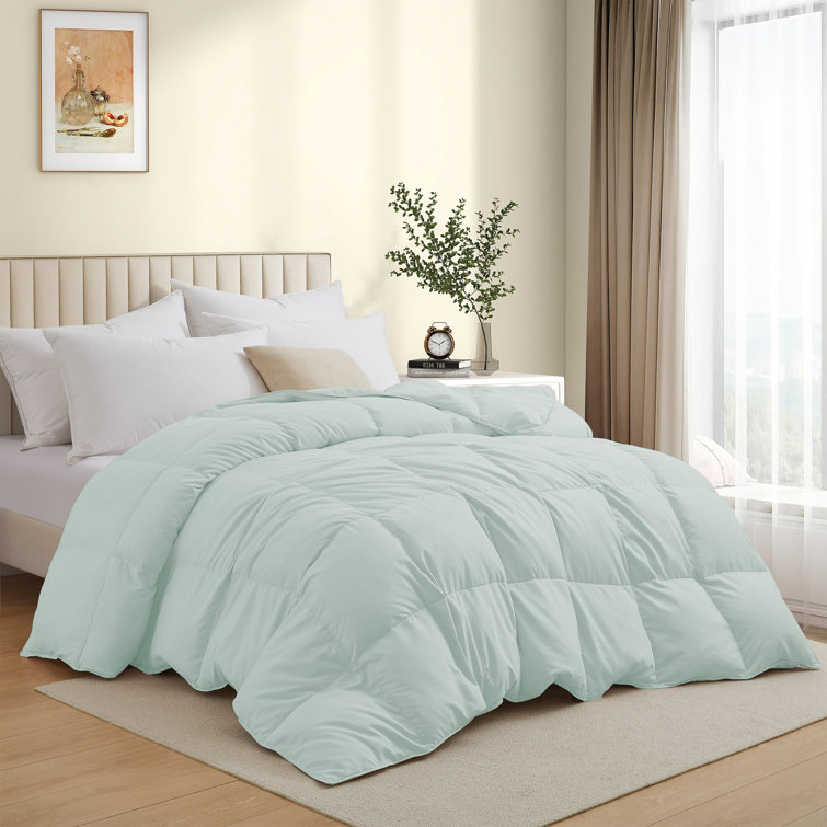 Pastel Green Twin Down Comforter with Polyester Cover