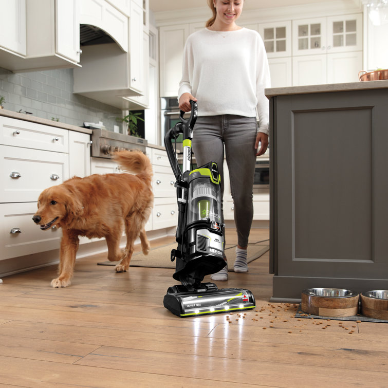 Black HEPA Filter Bagless Upright Vacuum Cleaner for Pets