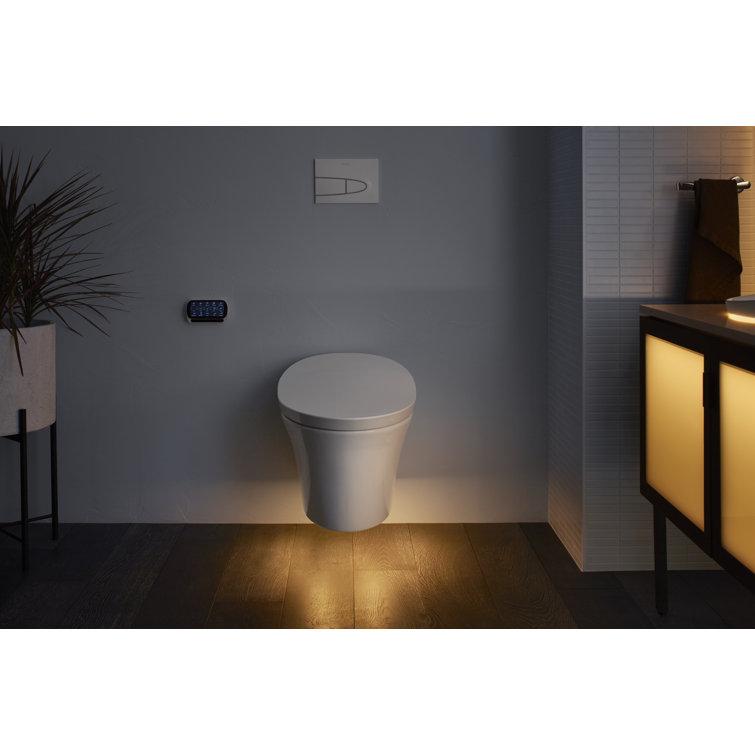 White Wall-Mounted Dual Flush High Efficiency Toilet