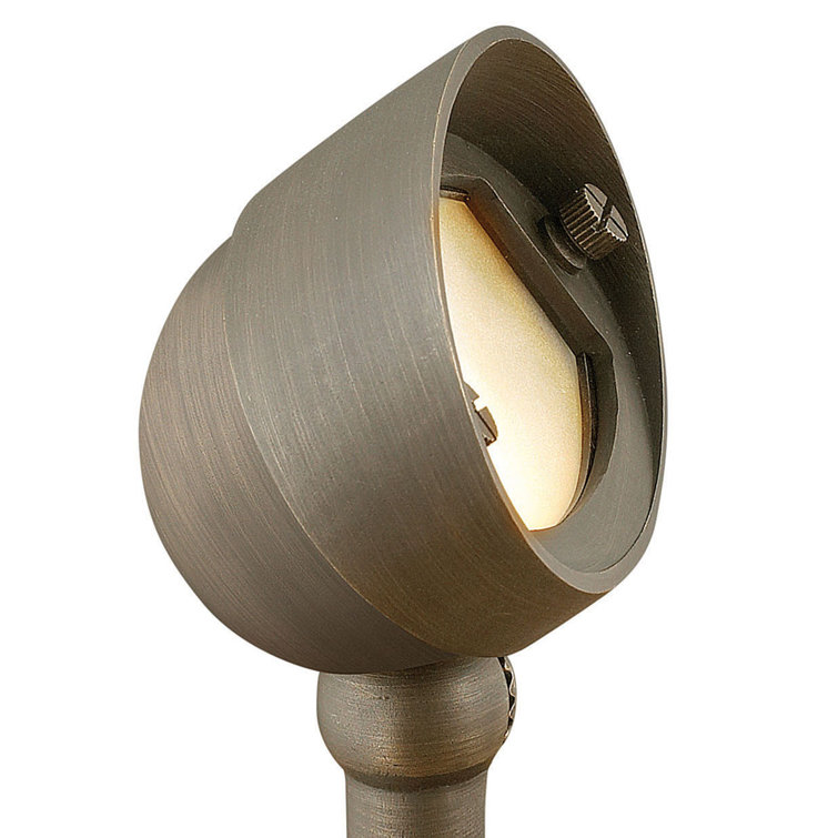 Rotating Hardy Island Matte Bronze LED Flood Light with Ground Spike