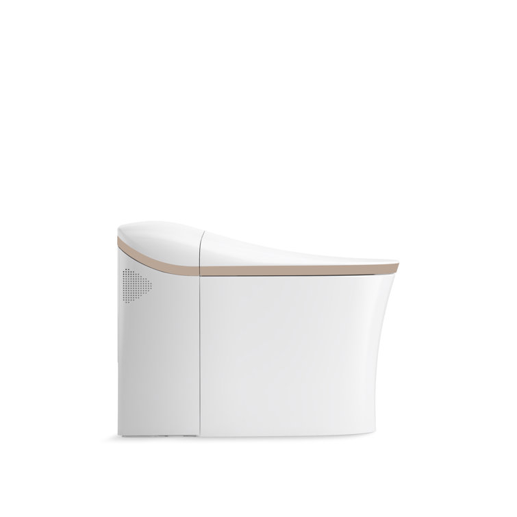 White and Rose Gold Trim Elongated Dual Flush Toilet