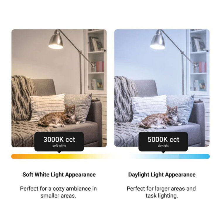 Soft White Dimmable LED A19 Light Bulb, 100W Equivalent