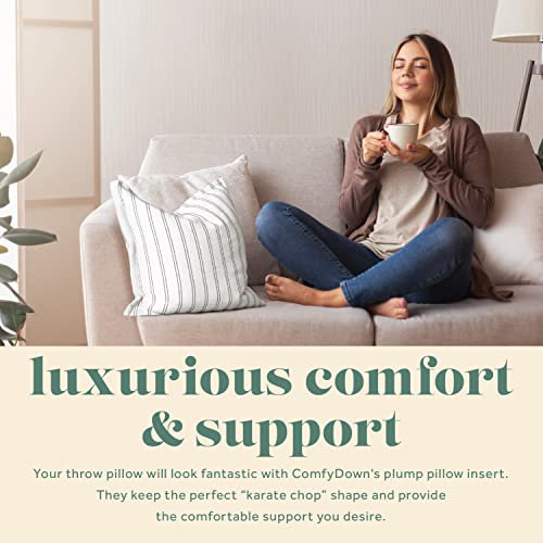 Modern Plush Feather-Filled Cotton Throw Pillow, 16" Square
