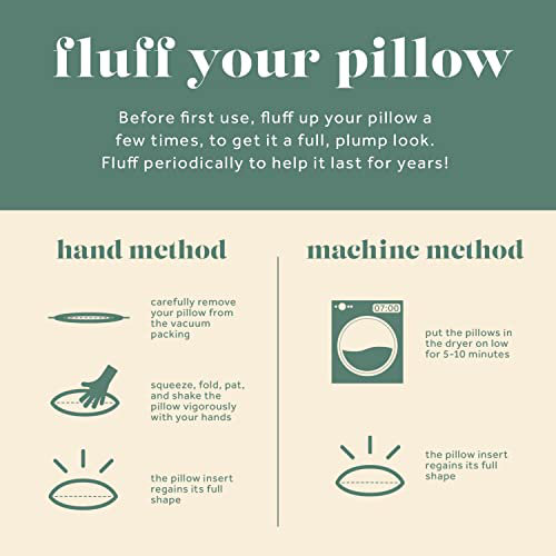 Modern Plush Feather-Filled Cotton Throw Pillow, 16" Square