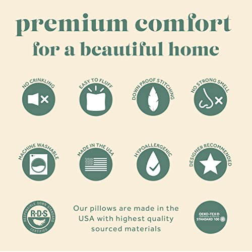 Modern Plush Feather-Filled Cotton Throw Pillow, 16" Square
