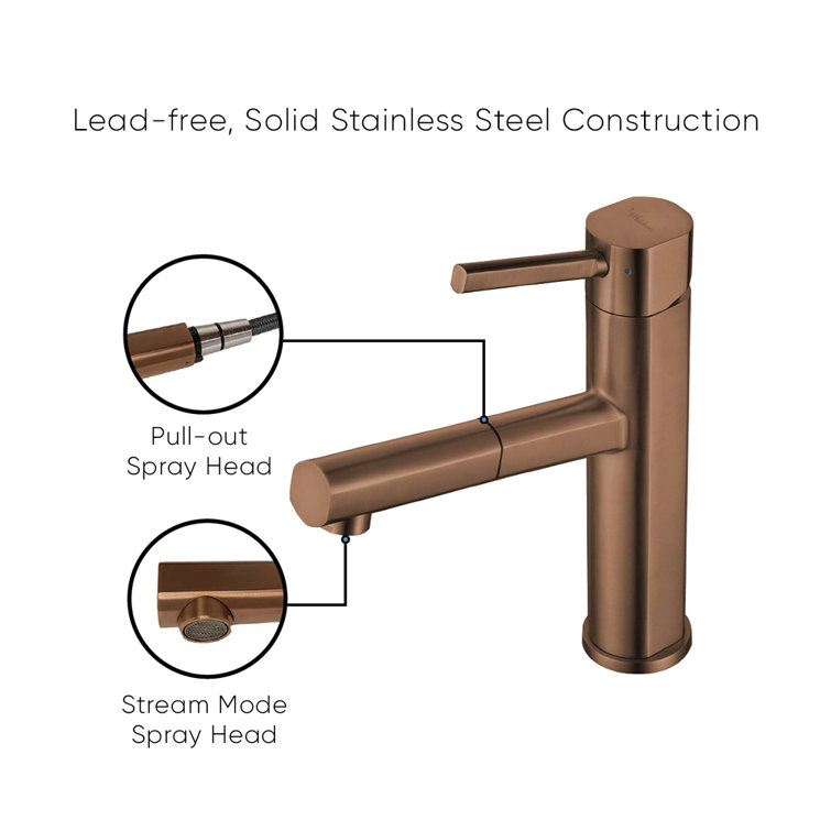 Modern Stainless Steel Pull-Out Spray Kitchen Faucet