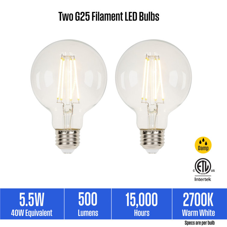Clear Dimmable LED Filament Globe Bulbs, 5.5 Watt, Pack of 2