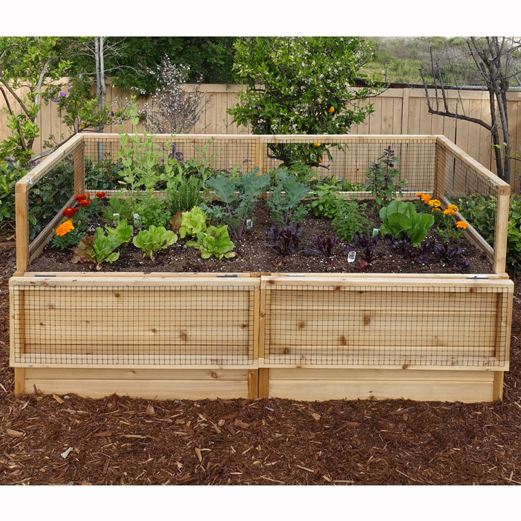 6 ft x 3 ft Cedar Raised Garden Bed with Wire Mesh