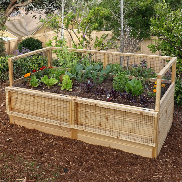 6 ft x 3 ft Cedar Raised Garden Bed with Wire Mesh