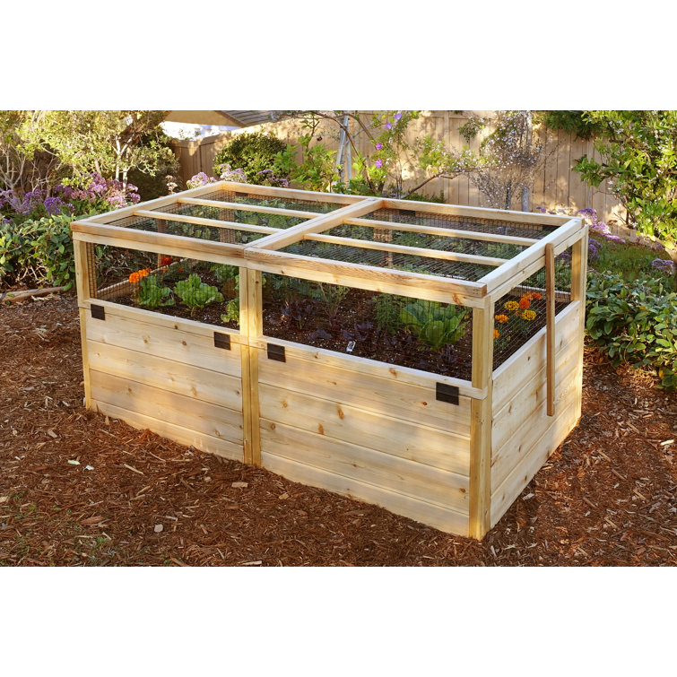 6 ft x 3 ft Cedar Raised Garden Bed with Wire Mesh