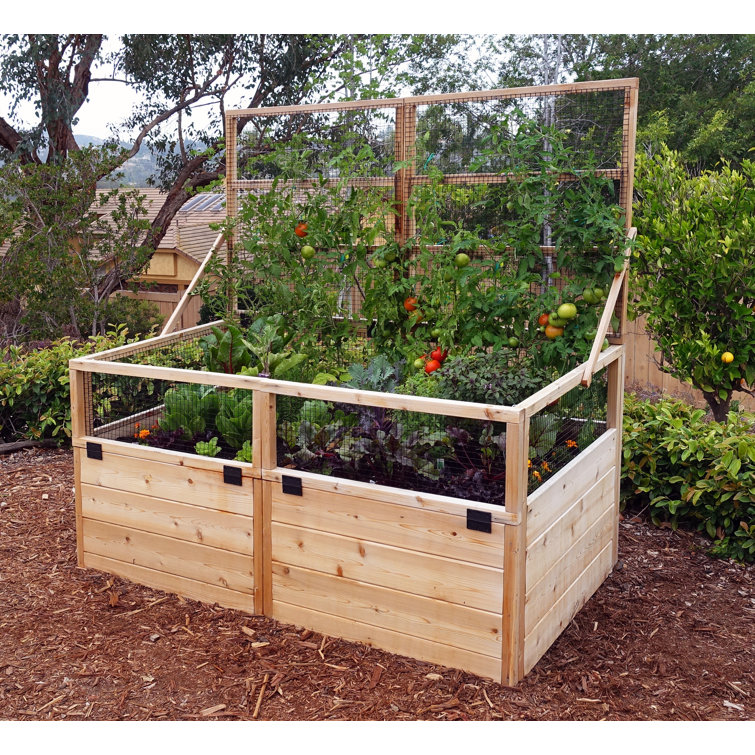 6 ft x 3 ft Cedar Raised Garden Bed with Wire Mesh