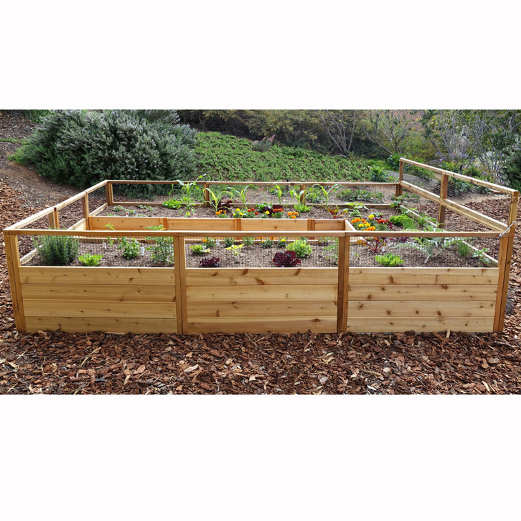 12 ft Cedar Raised Garden Bed with Wire Mesh