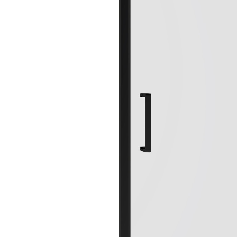 Black 40'' x 77'' Framed Tempered Glass Shower Door