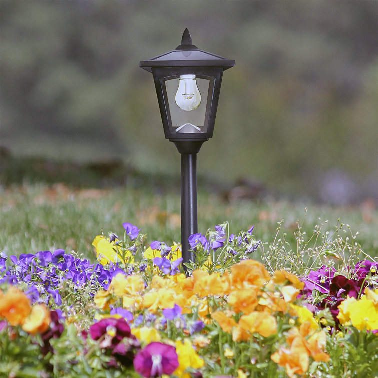 Black Stainless Steel Solar LED Pathway Lights, 4-Pack