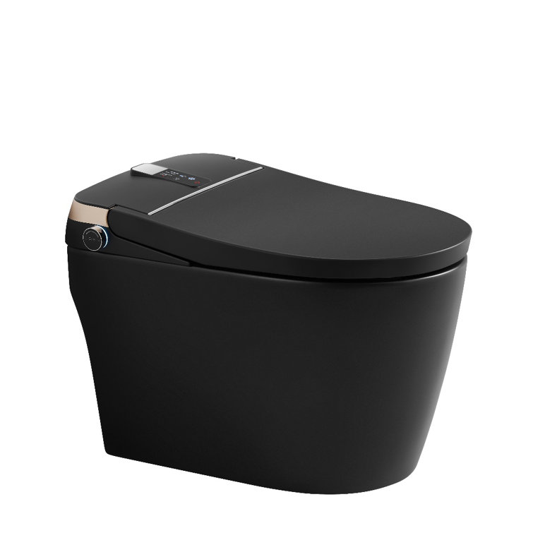 Matte Black Elongated One-Piece Smart Bidet Toilet with Dual Flush