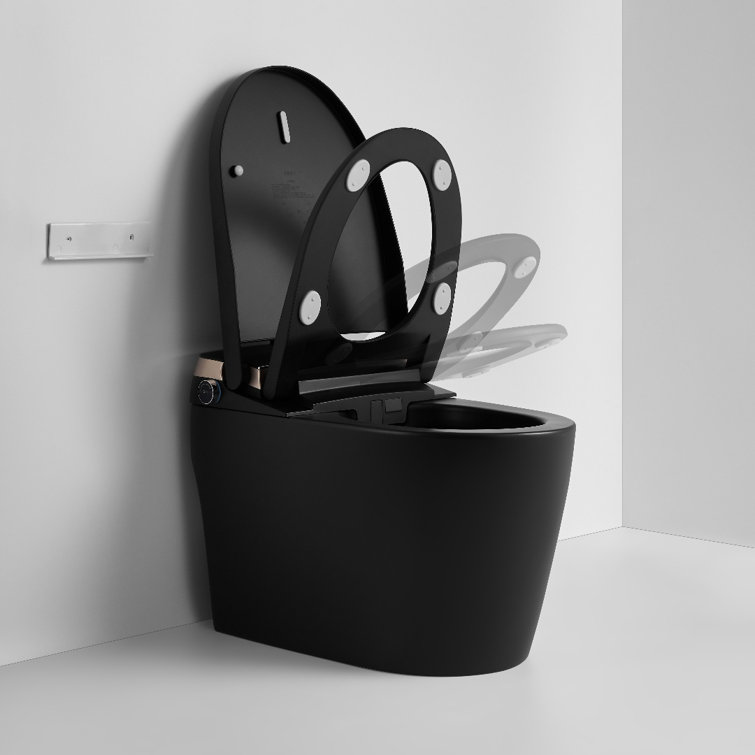 Matte Black Elongated One-Piece Smart Bidet Toilet with Dual Flush