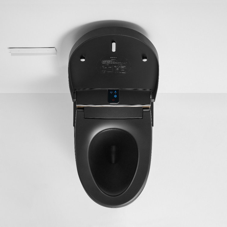Matte Black Elongated One-Piece Smart Bidet Toilet with Dual Flush