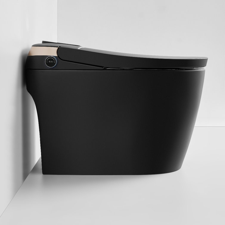 Matte Black Elongated One-Piece Smart Bidet Toilet with Dual Flush