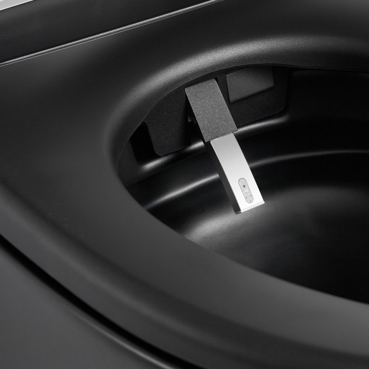 Matte Black Elongated One-Piece Smart Bidet Toilet with Dual Flush