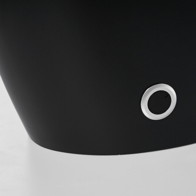 Matte Black Elongated One-Piece Smart Bidet Toilet with Dual Flush