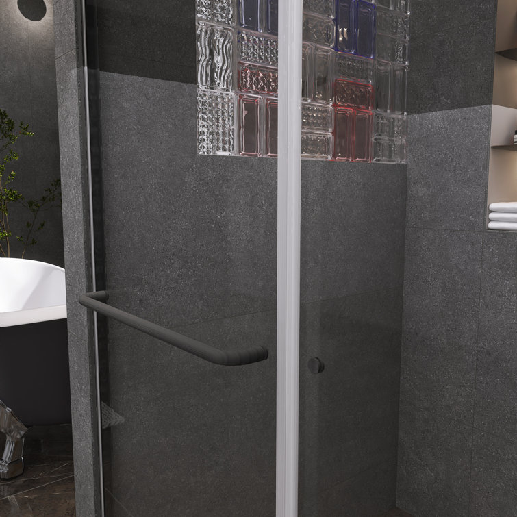 48" Black Framed Double Sliding Shower Door with Clear Glass