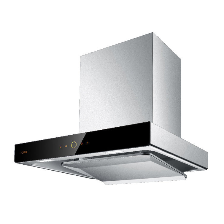 Stainless Steel 24" Wall-Mounted Under Cabinet Range Hood