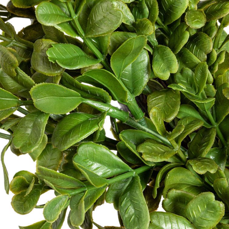 Green Artificial Boxwood Wreath for Front Door