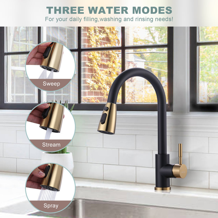 Black and Gold Stainless Steel Pull Down Kitchen Faucet with Sprayer