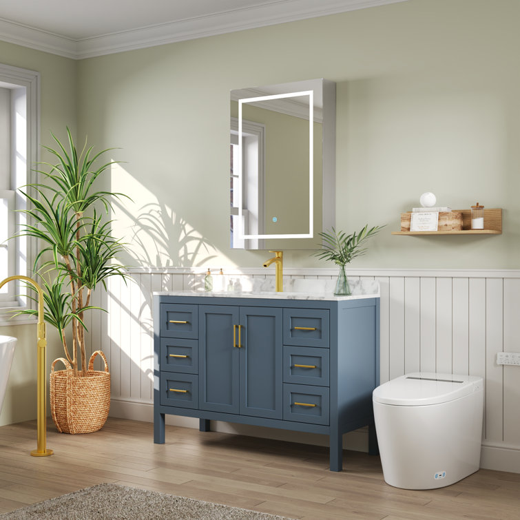 24'' W x 36'' H LED Lighted Wall Mounted Medicine Cabinet with Mirror