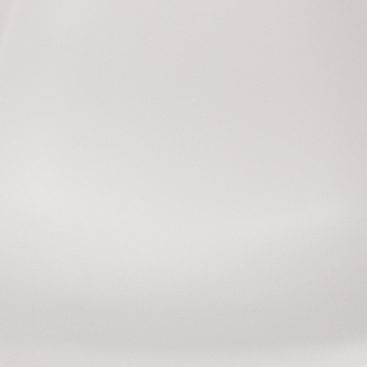 Elon Series 2-Pack White Plastic Side Chair with Wooden Legs