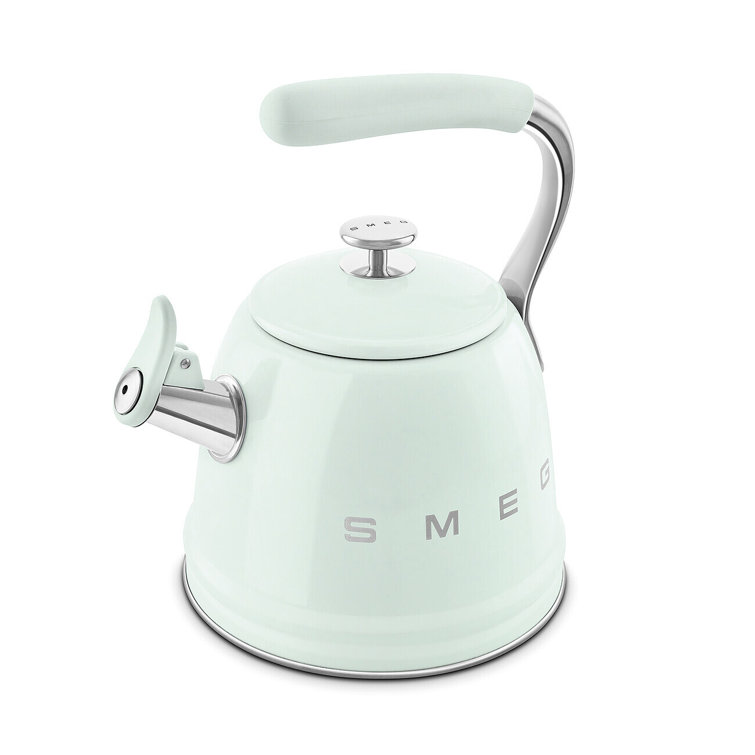 Pastel Green Stainless Steel Whistling Stovetop Kettle
